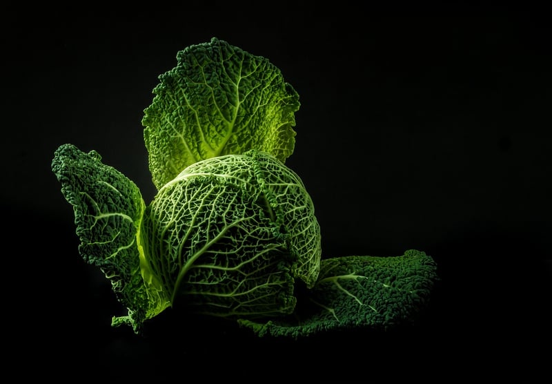Healthy Salad